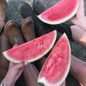 Meet your Posher, Ferryn